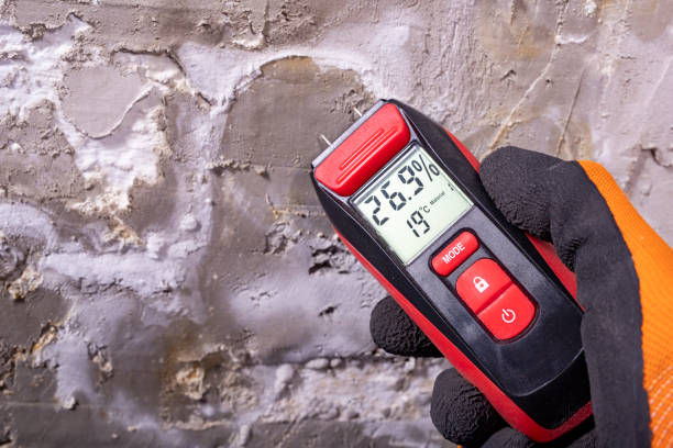 Best Residential Mold Remediation in Richmond, IL